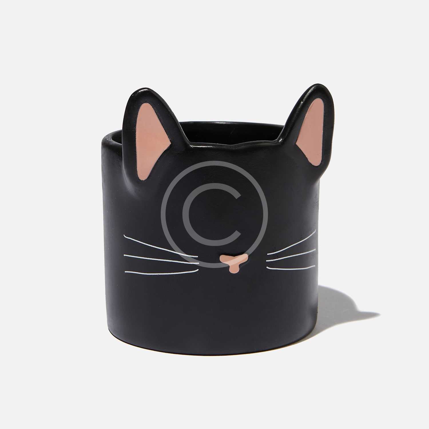 product8-copyright